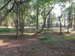 DSCF0075.jpg