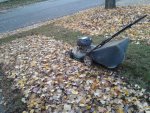 IMG_20131018_155404.jpg