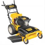 cub cadet.jpg
