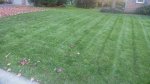 lawn stripes 4.jpg