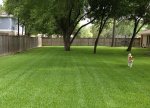 IMG_0054.JPG IMG_0054.JPG