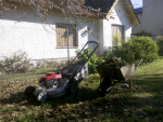 ForumRunner_20140618_215135.png ForumRunner_20140618_215135.png