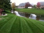 image-4220266097.jpg