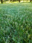 20160614_183142_resized_1.jpg