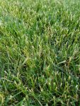 20160614_181526_resized_1.jpg