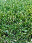 20160614_181410_resized_1.jpg