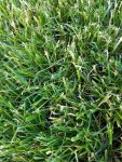 20160614_181516_resized_1.jpg
