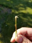 20160614_183059_resized_1.jpg