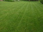 lawn 4.jpg lawn 4.jpg