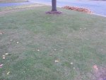 DSCN1922.jpg DSCN1922.jpg
