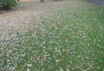 DSCN1924.jpg DSCN1924.jpg