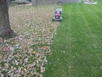 DSCN1928.jpg DSCN1928.jpg