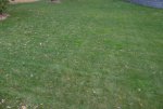 DSCN1933.jpg DSCN1933.jpg