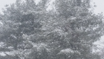 ForumRunner_20150305_084130.png ForumRunner_20150305_084130.png
