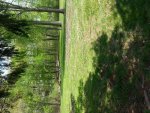 20140513_132535.jpg