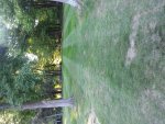 20140531_192210.jpg