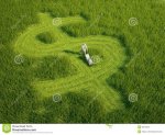 dollar-shaped-lawn-money-concept-26015810.jpg