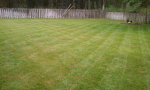 ForumRunner_20140626_205520.png