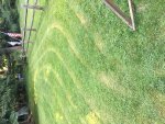 IMG_2412.jpg IMG_2412.jpg