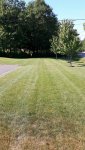 20160625_101743_resized.jpg