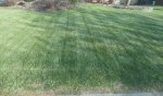lawn 1.jpg