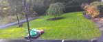 day22-secondmowing.jpg