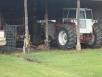 barn deer 001.jpg