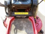 toro_002.jpg