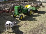 GARDEN TRACTORS 542 (Small).jpg