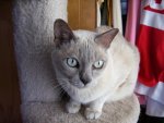 100_0706.jpg