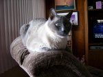 100_0602.jpg
