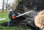 big chainsaw.jpg big chainsaw.jpg