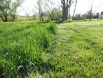 DSCN4219.jpg DSCN4219.jpg