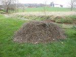 Sticks 1.jpg Sticks 1.jpg