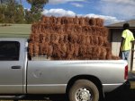 Pick up load of Pine straw.jpg