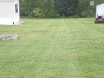 grass 002.jpg grass 002.jpg