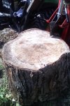 stump.jpg stump.jpg