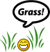 grass!.gif grass!.gif