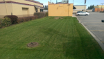 ForumRunner_20150423_180224.png