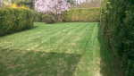 ForumRunner_20150423_180231.png