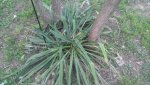 WP_20150425_001.jpg WP_20150425_001.jpg