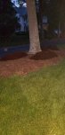 mulch3.jpg mulch3.jpg