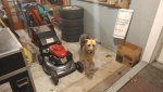 bearbuttmower.jpg bearbuttmower.jpg