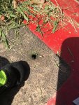 puncture rot.jpg puncture rot.jpg