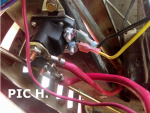 H. solenoid 902.png H. solenoid 902.png