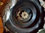 20171006_065545.jpg 20171006_065545.jpg