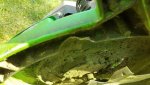 20190822_143133.jpg 20190822_143133.jpg