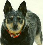 scan0009.jpg