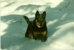 scan0010.jpg