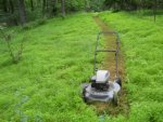 Meadow_Mowing_4263.jpg